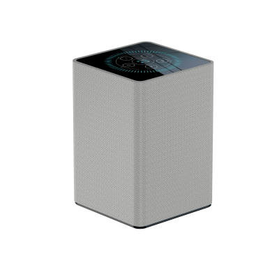 Профессиональный подавитель диктофонов XP65 c 72 головками с функцией bluetooth колонки.